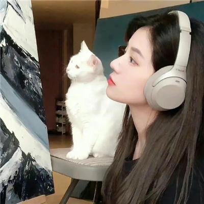 猫头鹰与小飞象